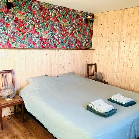 Chaleureux En Pleine Campagne Vue Sur Les Monts Et Forets Et Le Chateau De * Carrouges